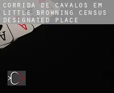 Corrida de cavalos em  Little Browning