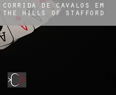 Corrida de cavalos em The Hills of Stafford