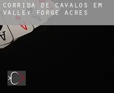 Corrida de cavalos em  Valley Forge Acres