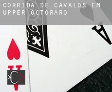Corrida de cavalos em Upper Octoraro