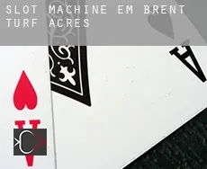 Slot machine em Brent Turf Acres