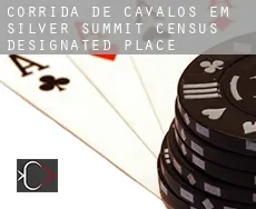 Corrida de cavalos em Silver Summit