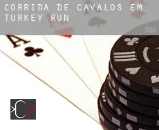 Corrida de cavalos em  Turkey Run