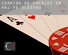 Corrida de cavalos em Háj ve Slezsku