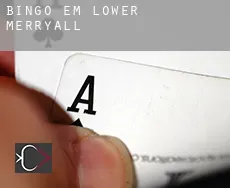 Bingo em  Lower Merryall