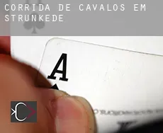 Corrida de cavalos em Strünkede