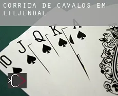 Corrida de cavalos em  Liljendal