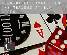 Corrida de cavalos em  The Meadows at Elk Creek