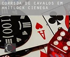 Corrida de cavalos em  Whitlock Cienega
