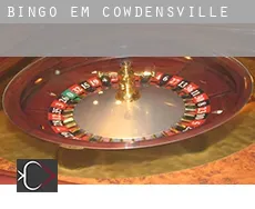 Bingo em Cowdensville