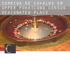 Corrida de cavalos em Upper Pohatcong