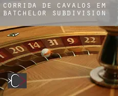 Corrida de cavalos em  Batchelor Subdivision
