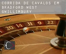 Corrida de cavalos em  Bradford West Gwillimbury