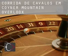 Corrida de cavalos em Coyner Mountain Overlook