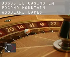 Jogos de casino em  Pocono Mountain Woodland Lakes