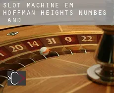Slot machine em  Hoffman Heights Numbes 12 and 13