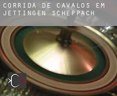 Corrida de cavalos em  Jettingen-Scheppach