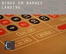 Bingo em  Barnes Landing