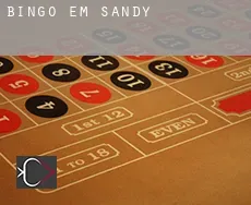 Bingo em  Sandy
