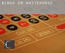 Bingo em  Whitehorse