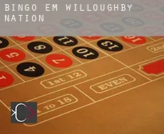 Bingo em  Willoughby Nation