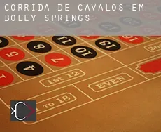 Corrida de cavalos em  Boley Springs