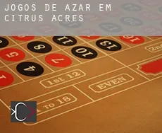 Jogos de azar em  Citrus Acres