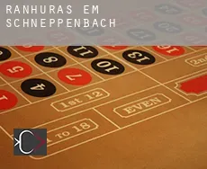 Ranhuras em Schneppenbach