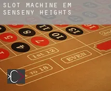 Slot machine em  Senseny Heights