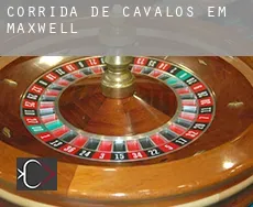 Corrida de cavalos em  Maxwell