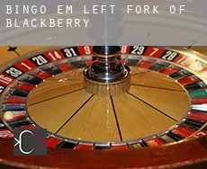 Bingo em Left Fork of Blackberry
