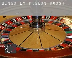Bingo em Pigeon Roost