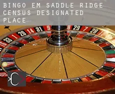 Bingo em  Saddle Ridge