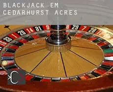 Blackjack em  Cedarhurst Acres