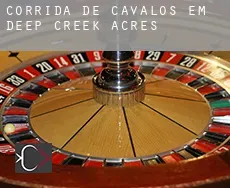 Corrida de cavalos em  Deep Creek Acres
