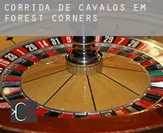 Corrida de cavalos em  Forest Corners