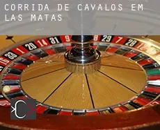 Corrida de cavalos em  Las Matas