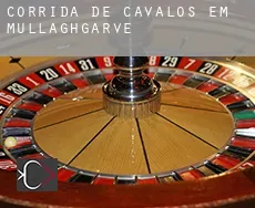 Corrida de cavalos em Mullaghgarve