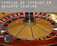 Corrida de cavalos em  Notleys Landing