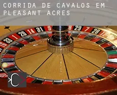 Corrida de cavalos em  Pleasant Acres