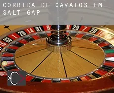Corrida de cavalos em  Salt Gap