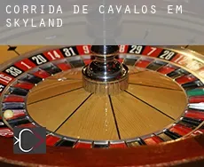 Corrida de cavalos em  Skyland