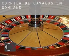 Corrida de cavalos em  Sohland