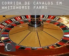 Corrida de cavalos em Whitehorse Farms