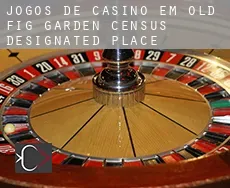 Jogos de casino em  Old Fig Garden