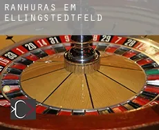 Ranhuras em Ellingstedtfeld