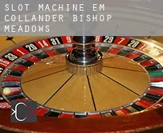 Slot machine em  Collander-Bishop Meadows