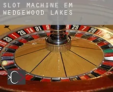 Slot machine em  Wedgewood Lakes