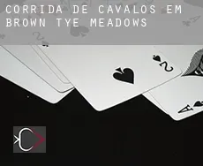 Corrida de cavalos em  Brown-Tye Meadows