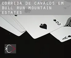 Corrida de cavalos em Bull Run Mountain Estates